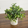 image:imageNearly Natural 8 in Artificial Mini Greenery Potted Plant Set of 3