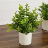 image:imageNearly Natural 8 in Artificial Mini Greenery Potted Plant Set of 3