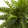 image:imageNearly Natural Boston Fern Artificial Plant in Decorative Planter