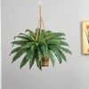 image:imageNearly Natural Boston Fern Hanging Basket