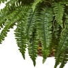 image:imageNearly Natural Boston Fern Hanging Basket