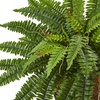 image:imageNearly Natural Boston Fern in Metallic PlanterGreen