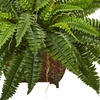 image:imageNearly Natural Boston Fern in Metallic PlanterGreen