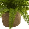image:imageNearly Natural Boston Fern with Burlap Planter Set of 2