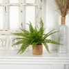 image:imageNearly Natural Boston Fern with Burlap Planter Set of 2