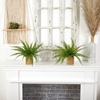 image:imageNearly Natural Boston Fern with Burlap Planter Set of 2