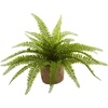 image:imageNearly Natural Boston Fern with Burlap Planter Set of 2