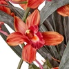image:imageNearly Natural Cymbidium with Decorative Vase Silk ArrangementRed