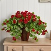 image:imageNearly Natural Geranium with Decorative Planter