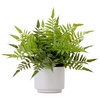 image:imageNearly Natural 13in Artificial Boston Fern Plant with Decorative Planter