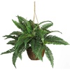 image:imageNearly Natural 18 in Artificial Boston Fern Hanging Basket for Porch Decor