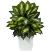 image:imageNearly Natural 2 ft Artificial Golden Dieffenbachia Faux Desk Room Decor