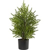 image:imageNearly Natural 2 ft Artificial Norfolk Island Pine in Decorative Planter