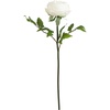 image:imageNearly Natural 20in Artificial Peony Flower Stems Set of 3 Long Stem Artificial Flowers for Home or Office Dcor Faux Peony Flower Stems in White for DIY DecorationWhite