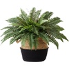 image:imageNearly Natural 23in Artificial Boston Fern Plant with Handmade Jute amp Cotton Basket DIY KIT