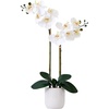 image:imageNearly Natural 26 in Artificial Double Phalaenopsis Orchid with Vase