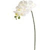 image:imageNearly Natural 28in Orchid Phalaenopsis Artificial Flower Stem Set of 6White