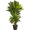 image:imageNearly Natural 3 ft Artificial Corn Stalk Dracaena RealTouch Floor Plant