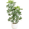 image:imageNearly Natural 31 in UVResistant Artificial Schefflera Tree