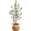 image:imageNearly Natural 35ft Artificial Olive Tree with Handmade Jute amp Cotton Basket with Tassels