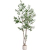 image:imageNearly Natural 7ft Artificial Olive Tree  Minimalist Faux Olive Plant with MultiTone Leaves Faux Olives and Bendable Branches Includes White Decorative Planter