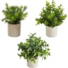 image:imageNearly Natural 8 in Artificial Mini Greenery Potted Plant Set of 3