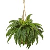 image:imageNearly Natural Boston Fern Hanging Basket