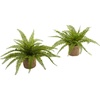image:imageNearly Natural Boston Fern with Burlap Planter Set of 2