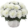 image:imageNearly Natural Carnation Artificial Marble Finished Vase Silk Arrangements CreamCream