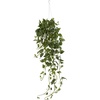 image:imageNearly Natural Pothos Hanging Basket Artificial Plant