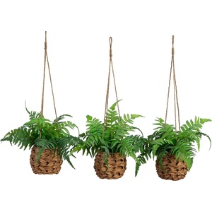 image:imageNearly Natural 10in Artificial Boston Ferns in Hanging Wicker Baskets Set of 3 Fake Ferns for IndoorOutdoor Use Hanging Basket for Patio Decoration UV Resistant