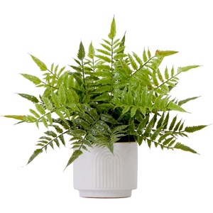 image:imageNearly Natural 13in Artificial Boston Fern Plant with Decorative Planter