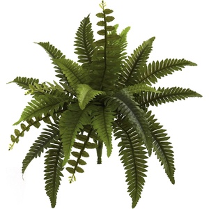 image:imageNearly Natural 14 in Artificial Boston Fern Set of 6 Indoor Office Plants