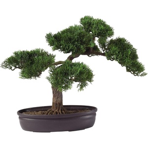 image:imageNearly Natural 16 in Artificial Cedar Bonsai Tree in Decorative PotGreen