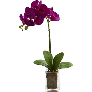 image:imageNearly Natural 20 in Artificial Phalaenopsis Orchid Arrangement in VaseMauve