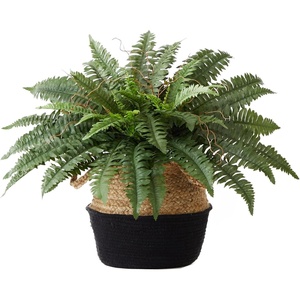 image:imageNearly Natural 23in Artificial Boston Fern Plant with Handmade Jute amp Cotton Basket DIY KIT