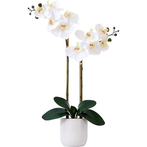 image:imageNearly Natural 26 in Artificial Double Phalaenopsis Orchid with Vase