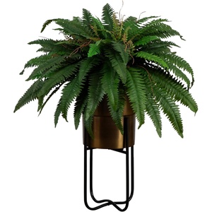 image:imageNearly Natural 35in Artificial Boston Fern Plant on Display Stand in Removal Brass Metal Planter Fake Ferns for Living Room Bedroom Office Home Dcor
