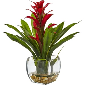 image:imageNearly Natural 6897RD Bromeliad with Glass Vase Arrangement 11 in x 11 in x 12 in Red