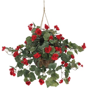 image:imageNearly Natural Begonia Hanging Basket