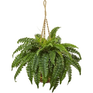 image:imageNearly Natural Boston Fern Hanging Basket