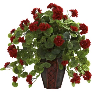 image:imageNearly Natural Geranium with Decorative Planter