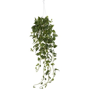 image:imageNearly Natural Pothos Hanging Basket Artificial Plant