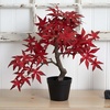 image:imageNearly Natural 20in Autumn Maple Artificial Bonsai Tree