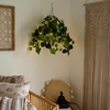 image:imageNearly Natural 24Inch UV Resistant Artificial Philodendron  IndoorOutdoor Hanging Basket with 50 Warm White LED Lights Battery Operated