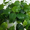 image:imageNearly Natural 24Inch UV Resistant Artificial Philodendron  IndoorOutdoor Hanging Basket with 50 Warm White LED Lights Battery Operated