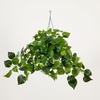 image:imageNearly Natural 24Inch UV Resistant Artificial Philodendron  IndoorOutdoor Hanging Basket with 50 Warm White LED Lights Battery Operated