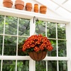 image:imageNearly Natural 24in UV Resistant Artificial Chrysanthemum Hanging Basket IndoorOutdoorRed