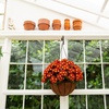 image:imageNearly Natural 24in UV Resistant Artificial Chrysanthemum Hanging Basket IndoorOutdoorRed