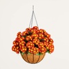 image:imageNearly Natural 24in UV Resistant Artificial Chrysanthemum Hanging Basket IndoorOutdoorRed